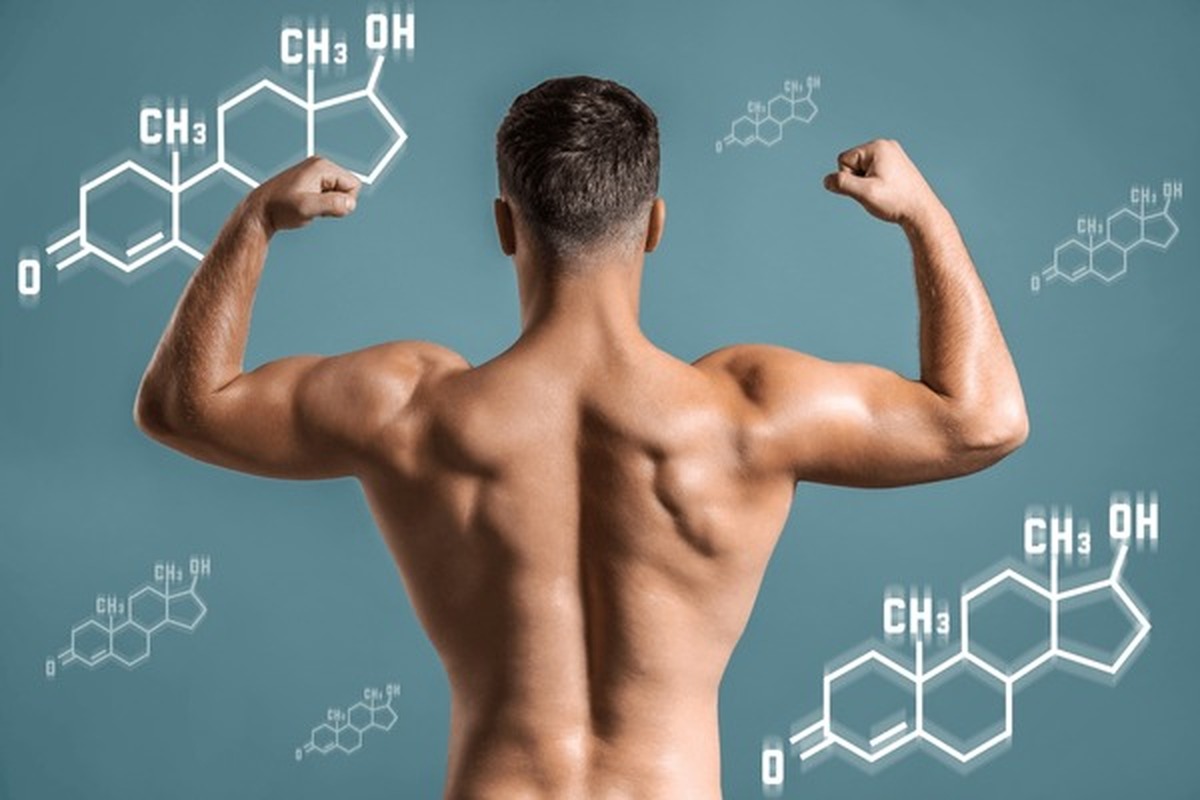 Testosterona livre, SHBG e o cálculo: quando o total engana